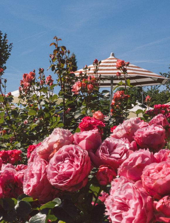 Liegestühle im Garten des Giardino Marling